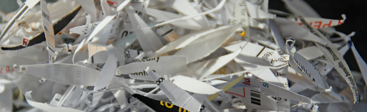Using Shredded Paper as Mulch in the Vegetable Garden :: Melinda Myers