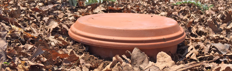 Ollas: Unglazed Clay Pots for Garden Irrigation - The Permaculture