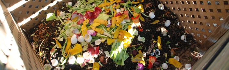 learn about composting day
